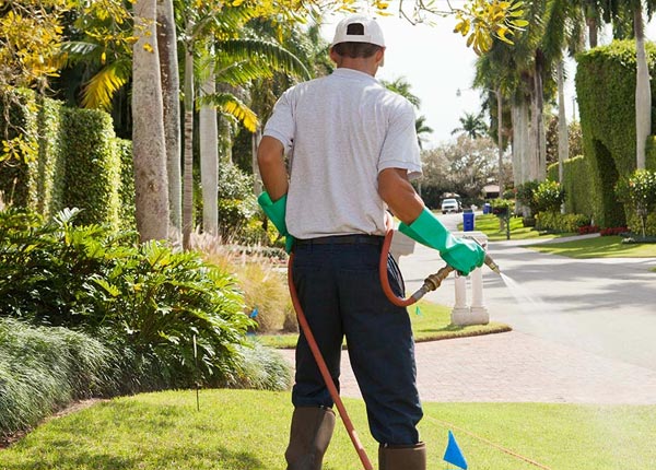 About Rodney MI Pest Control